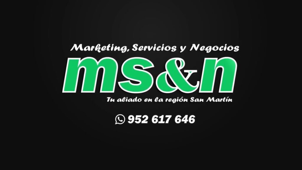 Animación de Logo – MS&N